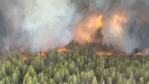 Лесные пожары в Абайской области