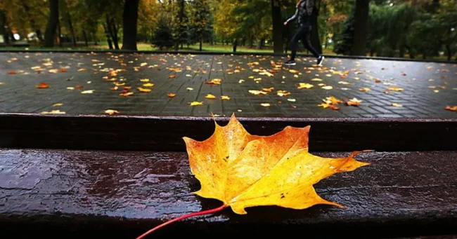 Осенняя погода / Фото: kartinkof.club