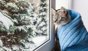Зима / Фото: vesti.ua