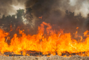 В Актау объявлен чрезвычайный уровень пожарной опасности