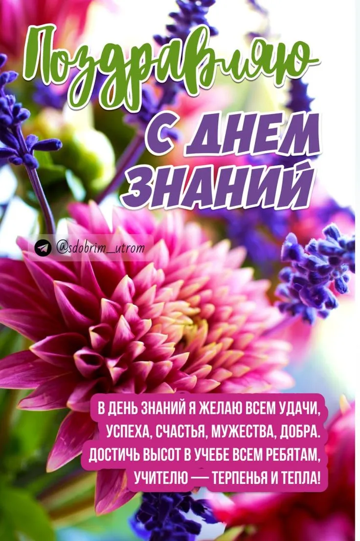 Поздравления с 1 сентября - Днем знаний: открытки, картинки