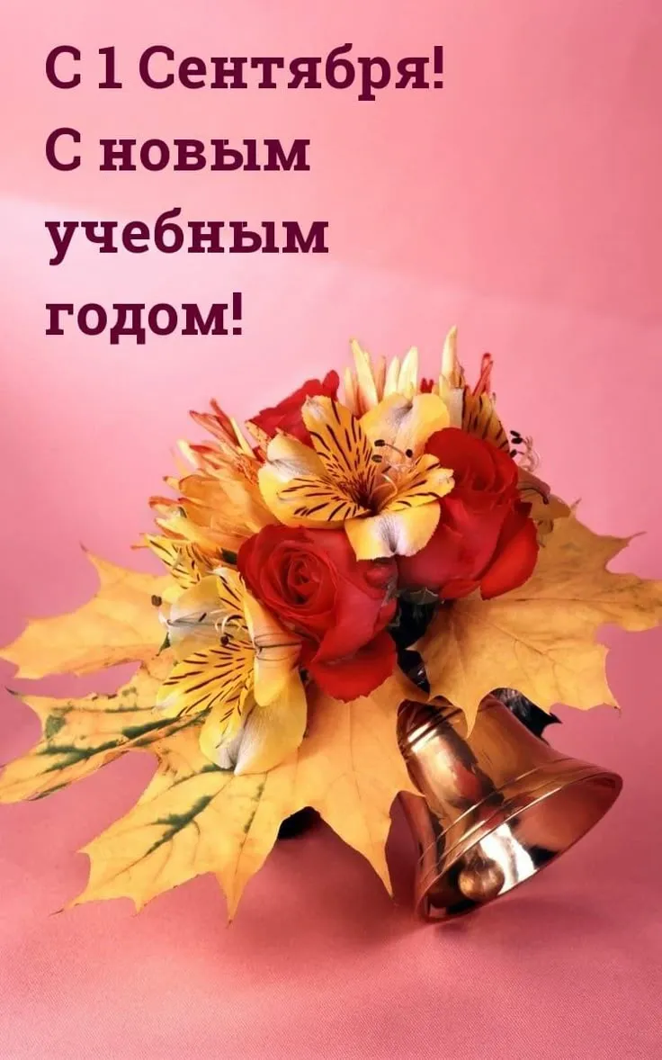 Поздравления с 1 сентября - Днем знаний: открытки, картинки