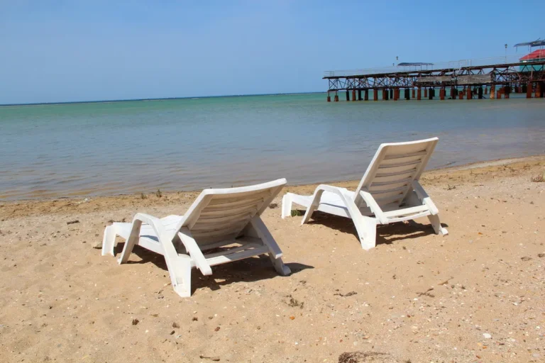 Земли олигархов вернули народу: Генпрокурор озвучил цифры