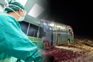 Дочь погибшей в ДТП женщины обвиняет власти в халатности