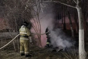 В Актау горела собачья будка: в ДЧС прокомментировали ситуацию