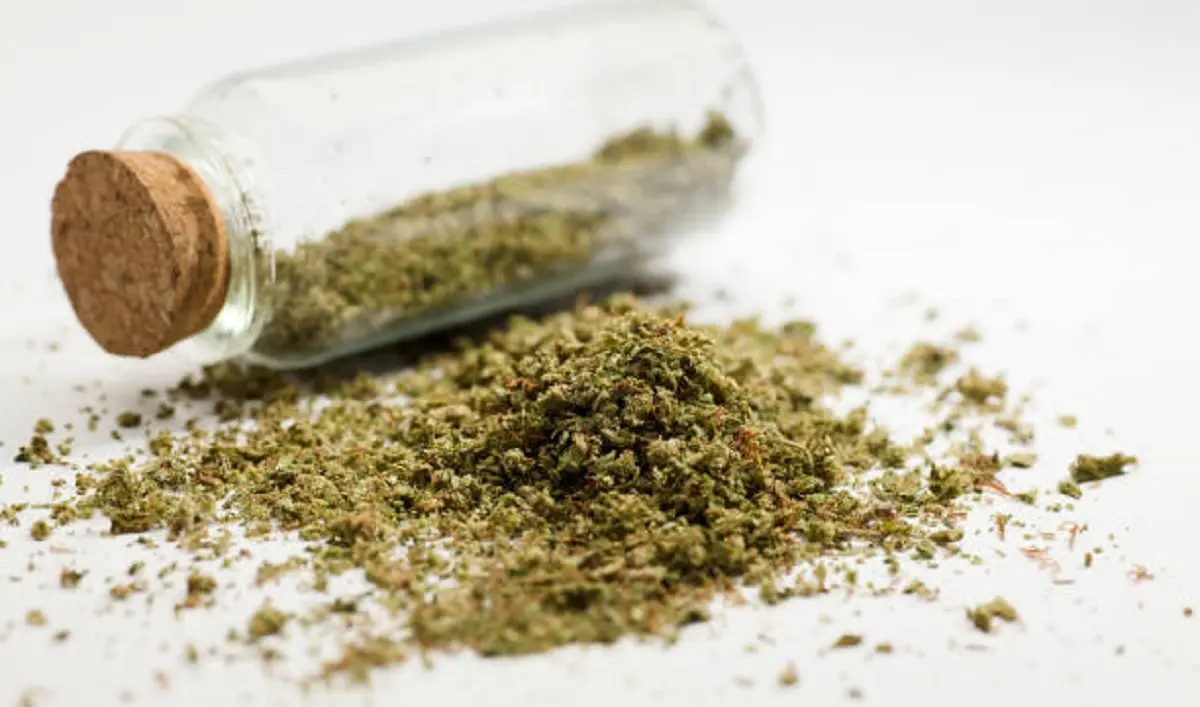 Житель Бейнеу заплатит крупный штраф за найденную в кармане марихуану