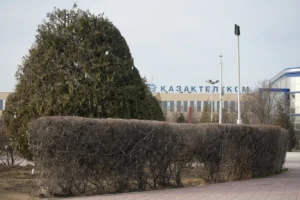 Наказали подрядчика за не снятые новогодние гирлянды в Актау