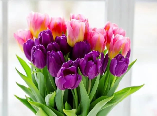 С 8 Марта: самые красивые открытки и теплые слова для милых дам